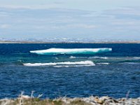 D720238 : nfld 2018, icebergs