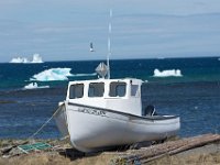 D720246 : nfld 2018, icebergs, boats
