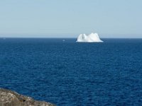 D720250 : nfld 2018, icebergs