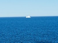 D720255 : nfld 2018, icebergs