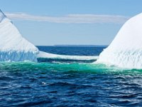 D720275 : nfld 2018, icebergs