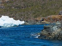 D720293 : nfld 2018, icebergs