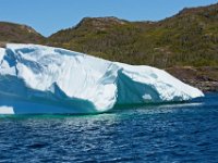 D720299 : nfld 2018, icebergs