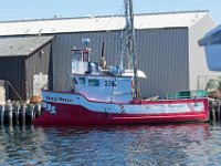 D720339 : nfld 2018, boats