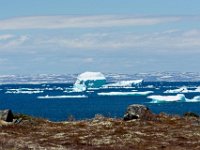 D720346 : nfld 2018, icebergs, l'anse aux medeows viking village