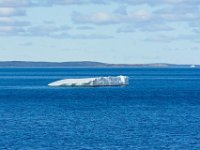 D720390 : nfld 2018, icebergs, Goose cove