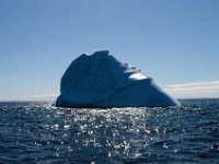 IGP9599 : NFLD, 2018, PENTAX., boat icebergs St Anthony
