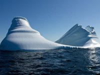 IGP9602 : NFLD, 2018, PENTAX., boat icebergs St Anthony