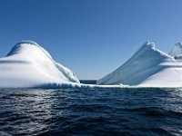 IGP9603 : NFLD, 2018, PENTAX., boat icebergs St Anthony