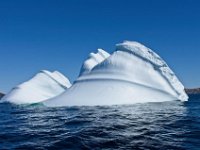 IGP9607 : NFLD, 2018, PENTAX., boat icebergs St Anthony