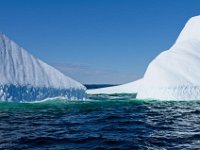 IGP9614 : NFLD, 2018, PENTAX., boat icebergs St Anthony