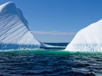 IGP9617 : NFLD, 2018, PENTAX., boat icebergs St Anthony