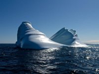 IGP9622 : NFLD, 2018, PENTAX., boat icebergs St Anthony