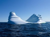 IGP9623 : NFLD, 2018, PENTAX., boat icebergs St Anthony