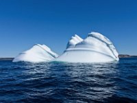 IGP9626 : NFLD, 2018, PENTAX., boat icebergs St Anthony