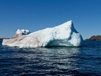 IGP9635 : NFLD, 2018, PENTAX., boat icebergs St Anthony