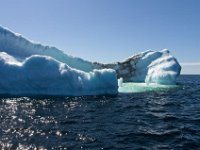 IGP9638 : NFLD, 2018, PENTAX., boat icebergs St Anthony