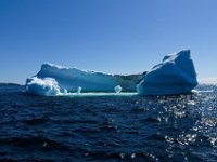 IGP9639 : NFLD, 2018, PENTAX., boat icebergs St Anthony