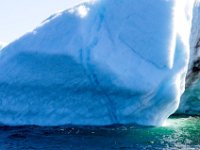 IGP9641 : NFLD, 2018, PENTAX., boat icebergs St Anthony