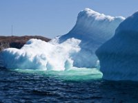 IGP9643 : NFLD, 2018, PENTAX., boat icebergs St Anthony