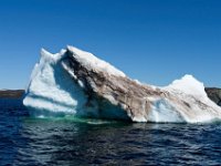 IGP9645 : NFLD, 2018, PENTAX., boat icebergs St Anthony