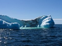 IGP9652 : NFLD, 2018, PENTAX., boat icebergs St Anthony