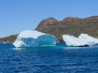 IGP9657 : NFLD, 2018, PENTAX., boat icebergs St Anthony