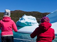 IGP9663 : NFLD, 2018, PENTAX., boat icebergs St Anthony