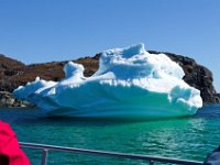 IGP9665 : NFLD, 2018, PENTAX., boat icebergs St Anthony