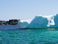 IGP9668 : NFLD, 2018, PENTAX., boat icebergs St Anthony