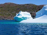IGP9672 : NFLD, 2018, PENTAX., boat icebergs St Anthony