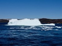 IGP9695 : NFLD, 2018, PENTAX., boat icebergs St Anthony