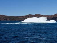 IGP9696 : NFLD, 2018, PENTAX., boat icebergs St Anthony