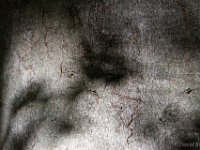 D724748