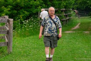 _D724819