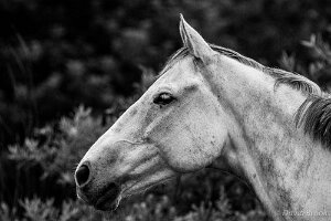 _D724825