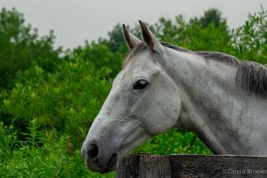 _D724827