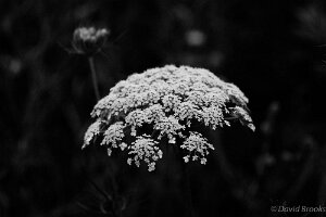 _D724834