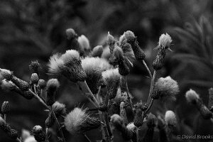 _D724835