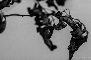 _D724837