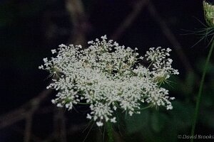 _D724840