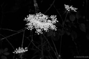 _D724841