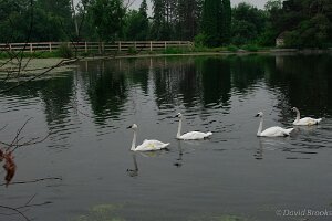 _D724855