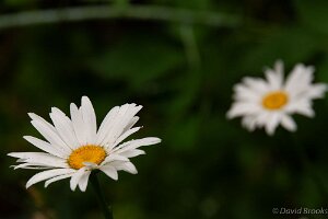 _D724869