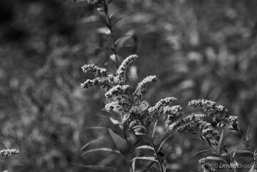 _D724877