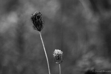 _D724887